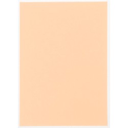 Korttipohja A6/25 lohenpunainen