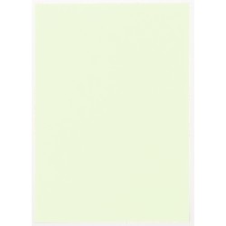 Askartelukartonki A4 vaaleanvihreä 10 kpl