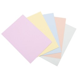 Korttipohja 2-osainen A5 vaalea lajitelma 20 kpl